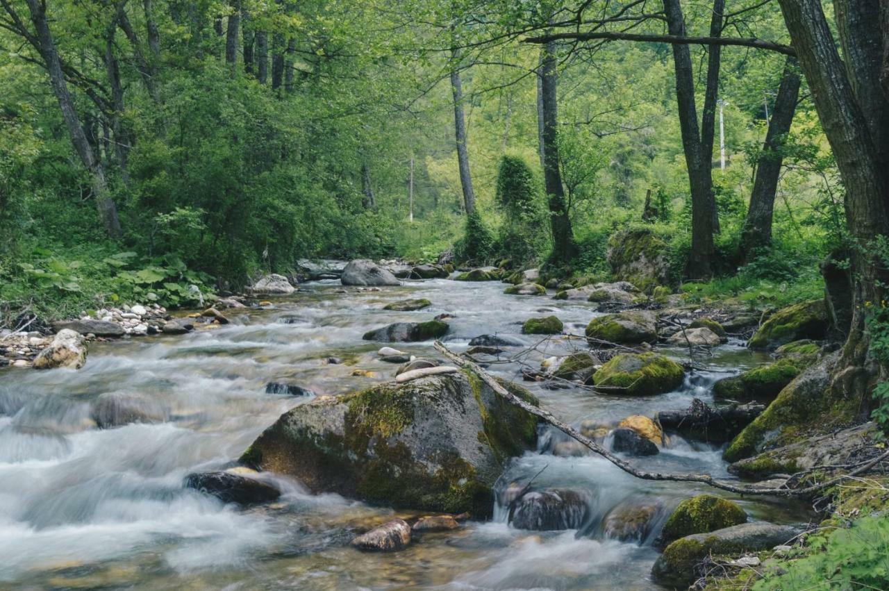 Rancho I Vancho Na Kata Séjour à la campagne *